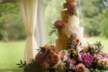 Tissington Hall Image - Ben Pollard, Cake - Bake