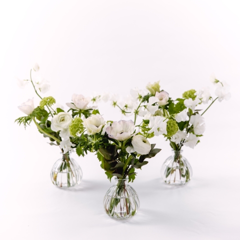 Bud Vase Trio